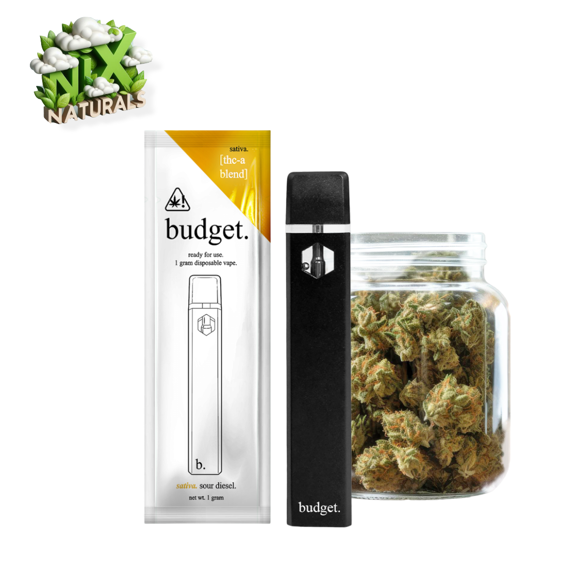 Budget ® | Vape Desechable | THCa | 1G | 1mL | Pluma Wax