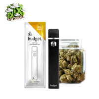 Thumbnail for Budget ® | Vape Desechable | THCa | 1G | 1mL | Pluma Wax